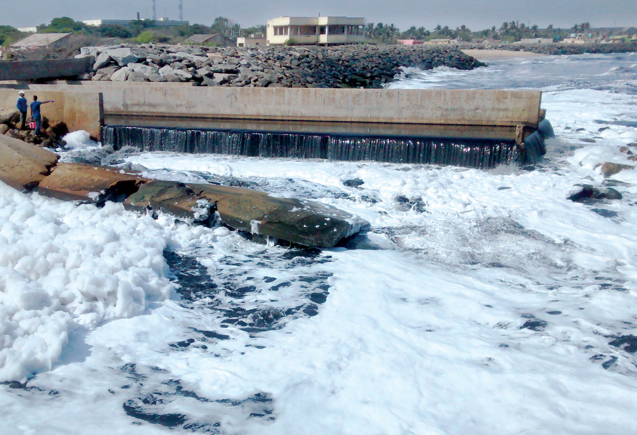 Poisons in the Sea: Regulating Safe Levels